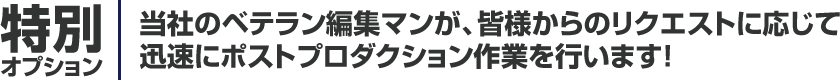 特別オプション